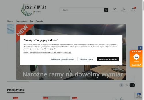 FRAGMENT NATURY DAWID JAROSZ